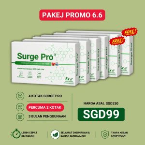 PAKEJ 4 BOX FREE 2 ( PROMOSI 6.6 )